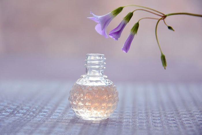 A Guide To The Most Searched Perfume Scents