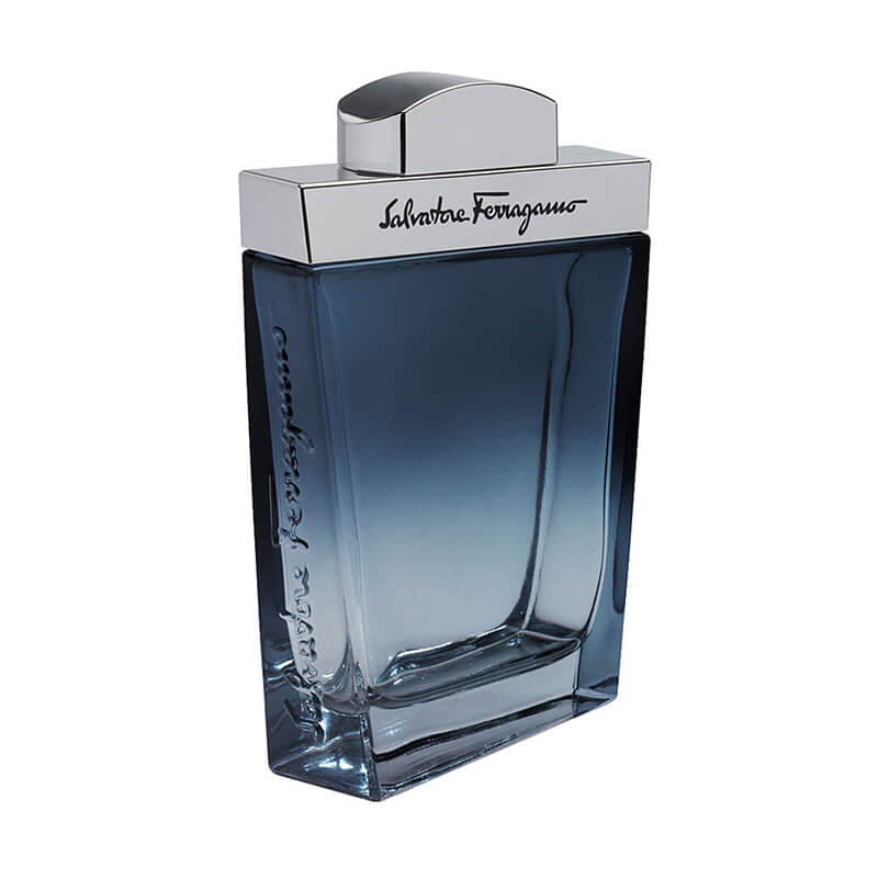 Salvatore Ferragamo Subtil Pour Homme (Tester No Cap) 100ml EDT (M) SP