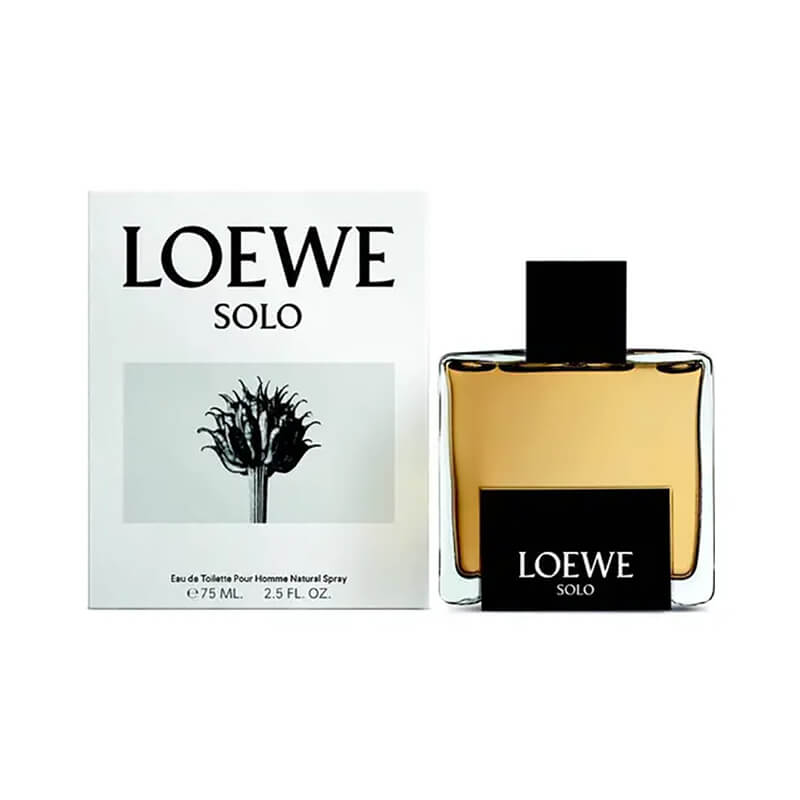 Loewe Solo Loewe