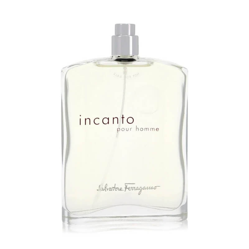 Salvatore Ferragamo Incanto Pour Homme