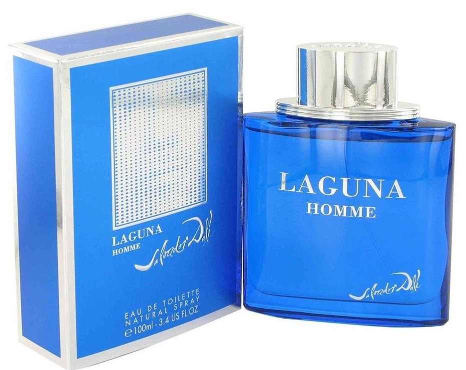 Salvador Dali Laguna Homme 100ml EDT (M) SP