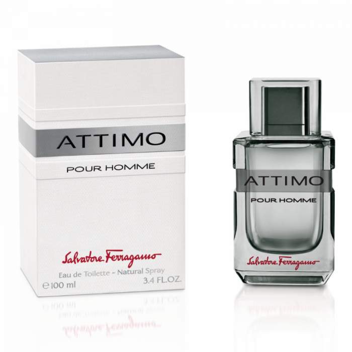 Salvatore Ferragamo Attimo Pour Homme 100ml EDT (M) SP