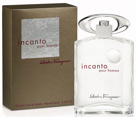 Salvatore Ferragamo Incanto Pour Homme 100ml EDT (M) SP